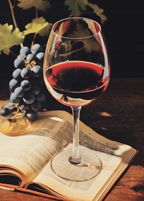 Poszter 50x70cm Történelem csokor