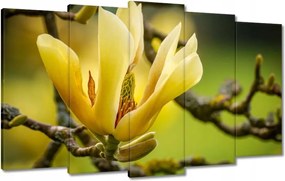 Vászonkép 100x60 Virágok