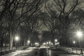 Poszter 45x30cm Éjszakai kilátás a Central Parkon át vezető útra, Assaf Frank