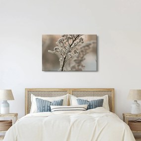 Kép - Növény fagyban (90x60 cm)