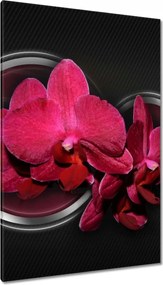 Vászonkép 80x120 Orchidea golyókkal