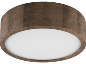 Brilagi Brilagi - LED Mennyezeti lámpa CARVALHO 1xE27/60W/230V tölgy átm. 27 cm BG0851