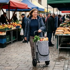 EASY bevásárlótáska kerekekkel, 50l, szürke Monzana
