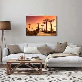 Kép - Naplemente a Baobab Alley-ben (90x60 cm)