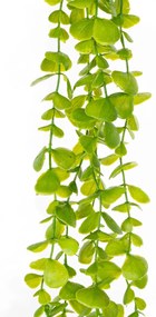 Műcserje Eukaliptusz, sötétzöld, 120 cm, műcserje