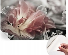 Fotótapéta Fali tapéta Hálószobába és Nappaliba Pasztell virág 416x254 cm