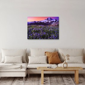 Kép - Vulkán és a virágok (70x50 cm)