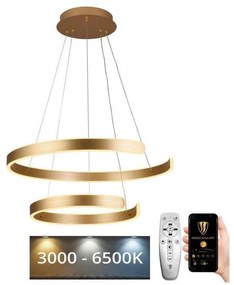 NEDES LED Dimmelhető csillár zsinóron LED/120W/230V 3000-6500K + távirányítás ND3484