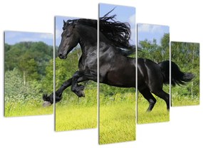 Festészet - lovak (150x105cm)