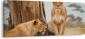 Kép - két oroszlán (120x50 cm)