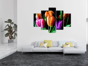 Tulipánok képe fekete alapon (150x105 cm)