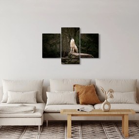 Kép - A farkas üvöltése (90x60 cm)