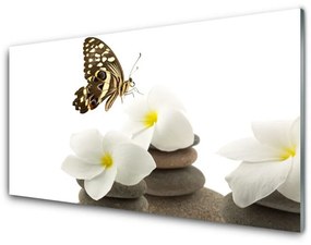 Akrilüveg fotó Butterfly Flower Plant Stones 125x50 cm