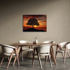 Fa képe naplementével (70x50 cm)
