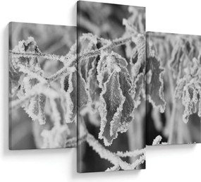 Kép - Fagyott levelek, fekete-fehér (90x60 cm)