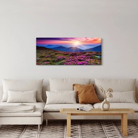 Kép - Hegyi virágzó táj (120x50 cm)