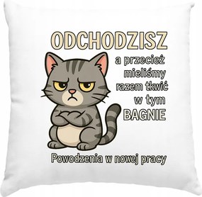 Távozó párna búcsú a munkából 2 fehér