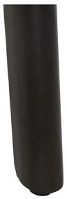 Barna jegenyefenyő dohányzóasztal 60x120 cm Paul – Ixia