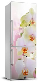 Hűtő matrica Fehér orchidea FridgeStick-70x190-f-103974386