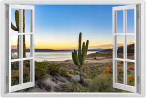 Poszterek 60x40 Kaktuszok a sivatagban