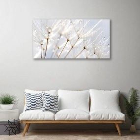 Canvas kép pitypang növény 100x50 cm