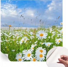 Öntapadós Dekoratív Fotótapéta Hálószobába Nyári rét 250x250 cm