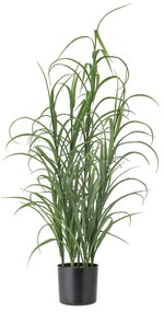 Fű műnövény (magasság 92 cm) Grass – Bloomingville