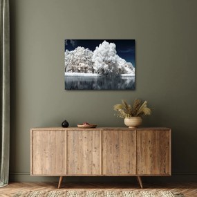 Kép - Hófehér fák (70x50 cm)
