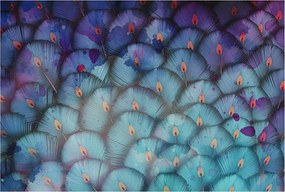 Flizelin tapéta falra Prémium színes tollak 104x70 Ragasztó