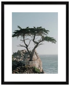 Kép 40x50 cm View – knor