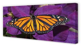 Canvas képek Színes pillangó virágok 120x60 cm