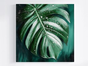 Vászonkép Canvas Természet Monster Levél Filodendron Víz Harmat 80x80
