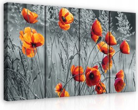 Vászonkép 120x80 Pipacsok nyári mező piros kontraszt természet otthon energia