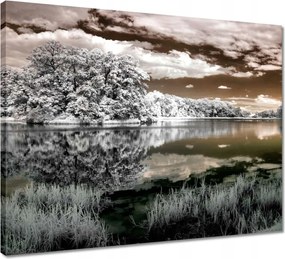 Vászonkép 50x40 Tájkép Infravörös Ir