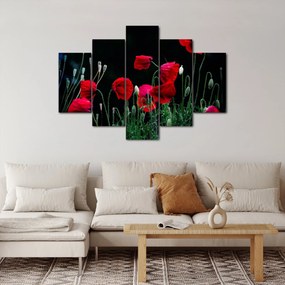 Kép - Pipacsok tánca (150x105 cm)