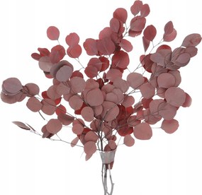 Szárított stabilizált eukaliptusz piros csokor szárított levelek váza