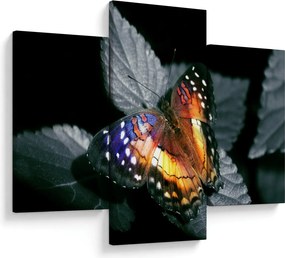 Pillangó képe (90x60 cm)