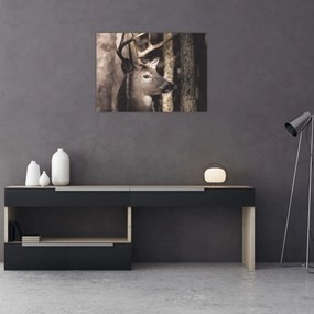 Üveg kép - Szarvas az erdőben (70x50 cm)