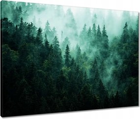 Vászonkép 80x60 Erdő Köd Tájkép Utazás