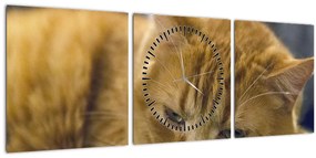 Macska képe (órával) (90x30 cm)