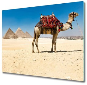 Üveg vágódeszka Camel Kairóban 60x52 cm