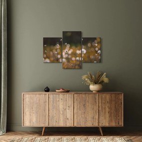 Kép - Gyapotfűvel borított rét N⁰2 (90x60 cm)