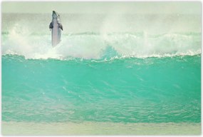 Poszterek 120x80 Szimpatikus delfin óceán