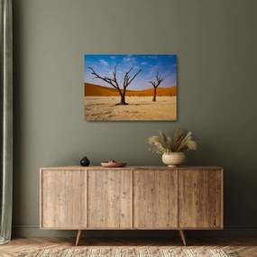 Kép - Halálvölgy (üvegen) (70x50 cm)
