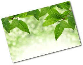 Üveg vágódeszka Zöld levelek pl-ko-80x52-f-51811576