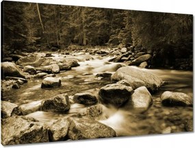 Vászonkép 90x60 Tátra Lengyel hegyek Kilátás