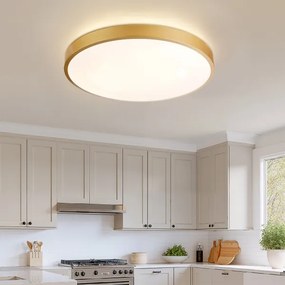 BRILAGI - dimmelhető LED lámpatest GLASS POOL DOUBLE LED/80W/230V 60 cm arany + távirányító