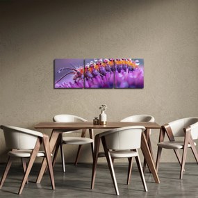 Kép - Caterpillar (órával) (90x30 cm)