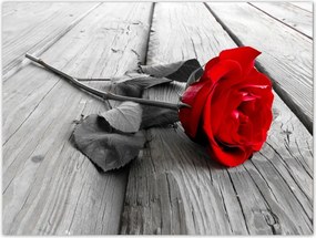 Poszterek 40x30 Rózsa a hídon