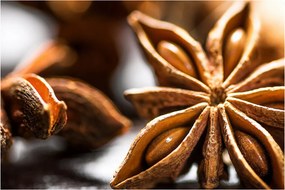 Kép - Anise (90x60 cm)